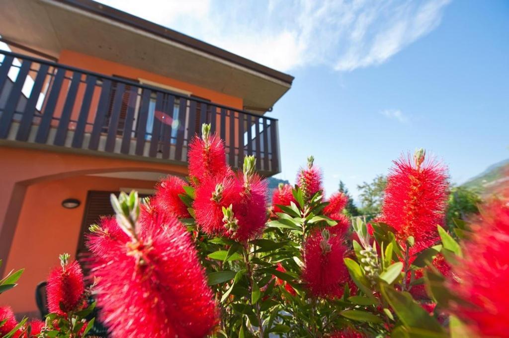 Casa Martinelli Apartment Torbole Sul Garda ภายนอก รูปภาพ
